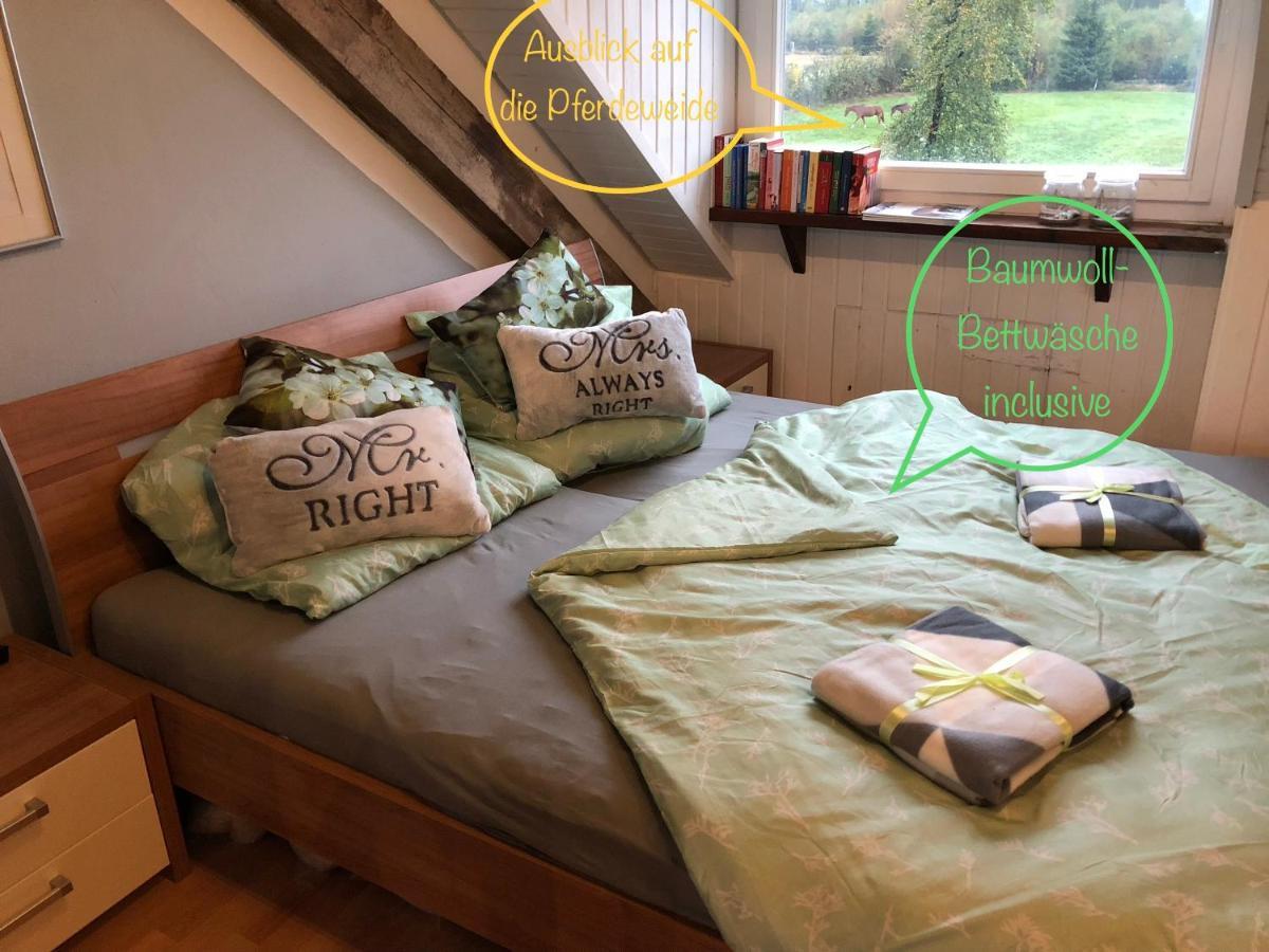 Hof Vierzehnender: Eifel Studio mit Dachterrasse und Kamin Monschau Exterior photo